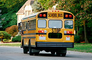 picture of the school bus